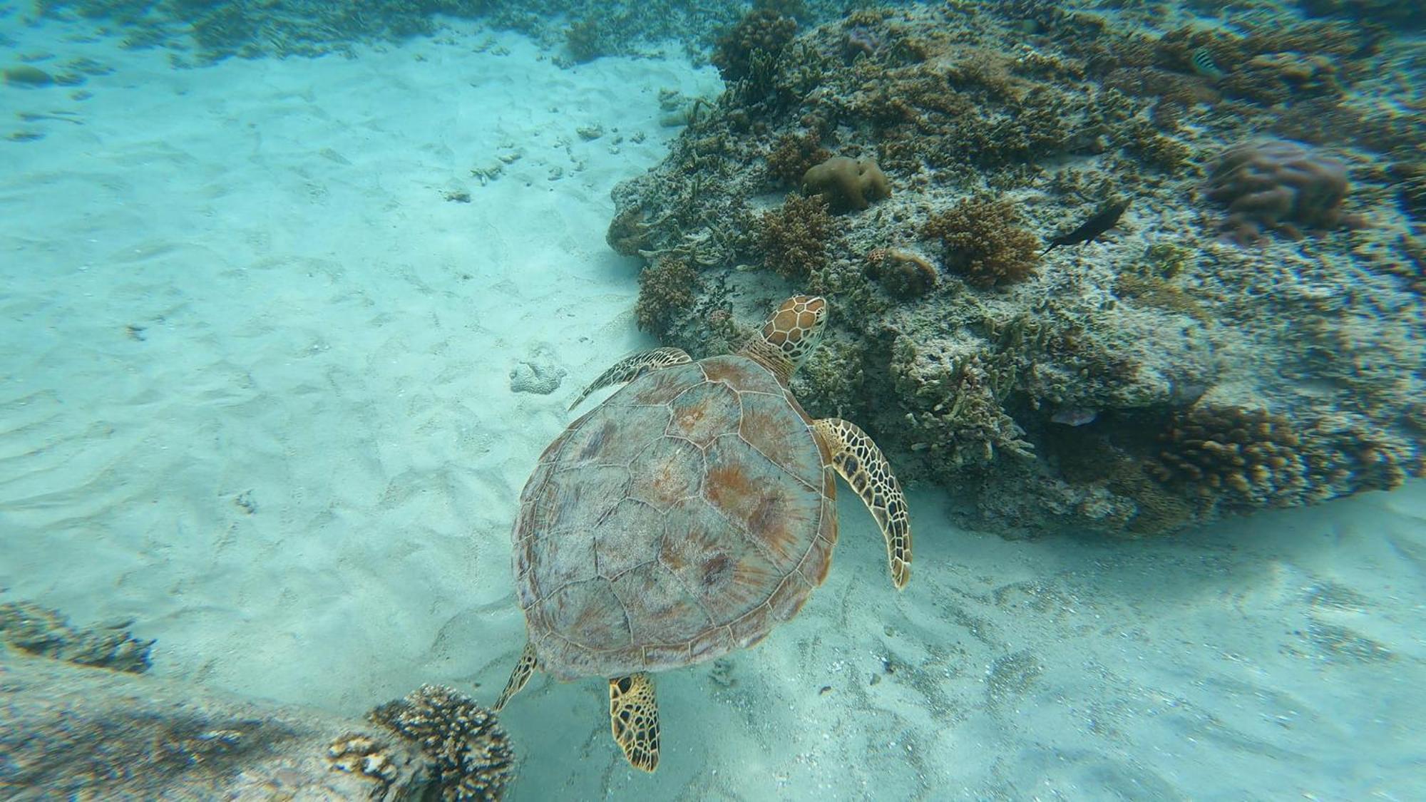 Mara'Ai Le Spot Tubuai, Chambre Triple Deluxe Mahu Sdb Privee Avec Piscine Mataura Exteriér fotografie